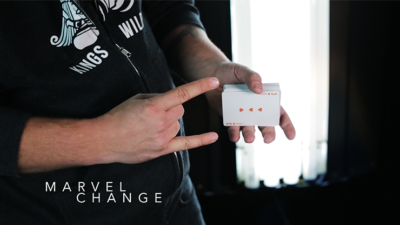 Synchronicity by Chris Ramsey video (Download) - Image 4