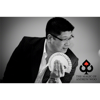 Illuminating Ideas, English by Andrew Woo (Download) - Image 2
