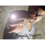 dvSmallVision-full.png