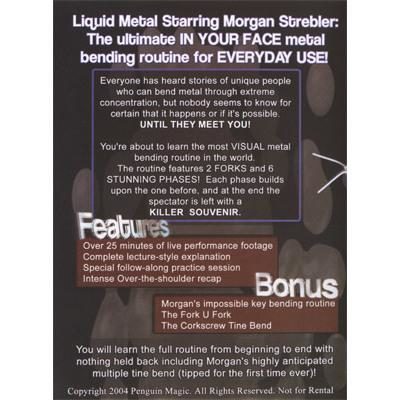 Liquid Metal by Morgan Strebler - Image 2
