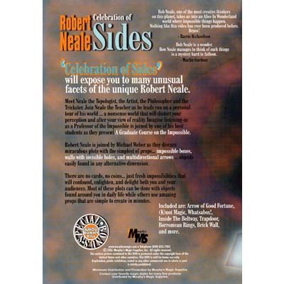 Celebration Of Sides by Robert Neale - Image 2