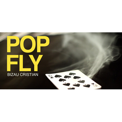 Pop Fly by Bizau Cristian video (Download)