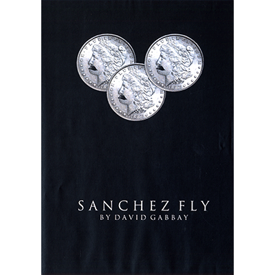 Sanchez Fly by David Gabbay - video (Download)