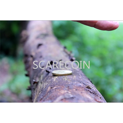 Scare Coin by Arnel Renegado (Download)