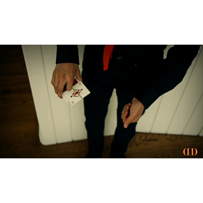 Trixel by Valdemar Gestur video (Download)