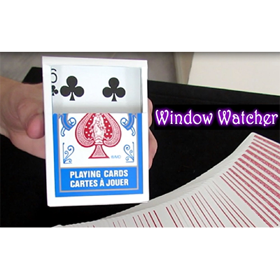 Window Watcher by Aaron Plener (Download)