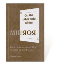 On the Other Side of the Mirror by Cushing Strout