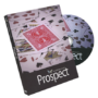 prospect-full.png