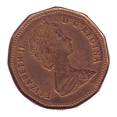 Coin Bite, Canadian Dollar/Loonie - Image 2
