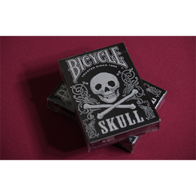 Bicycle Skull Metallic, Silver USPCC by Gambler's Warehouse - Image 2