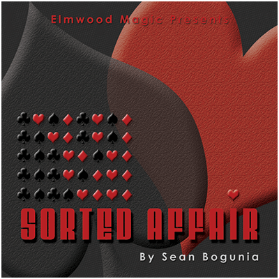 Sorted Affair, 2013 by Sean Bogunia