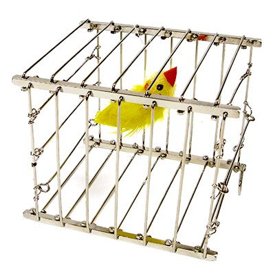 Vanishing Bird Cage