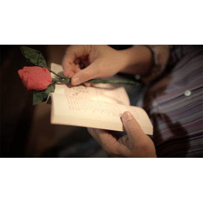 The Saint-Exerpury Rose by Vincent Mendoza & Lost Art Magic (Download) - Image 2