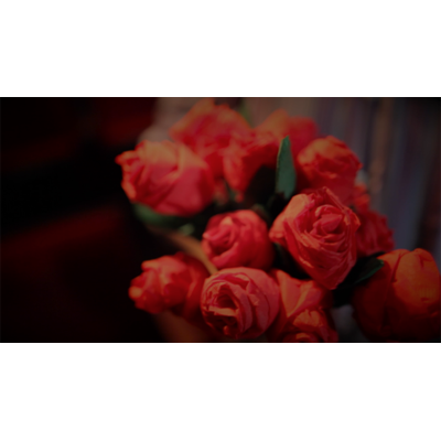 The Saint-Exerpury Rose by Vincent Mendoza & Lost Art Magic (Download) - Image 3