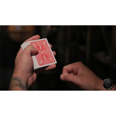 Unbound: Gimmickless Invisible by Darryl Davis video (Download) - Image 4