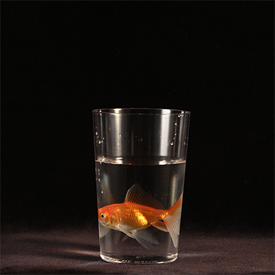 Milk To by Bazar de Magia - Image 2