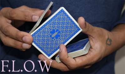 Magic Encarta Presents F.L.O.W by Vivek Singhi - Video (Download)