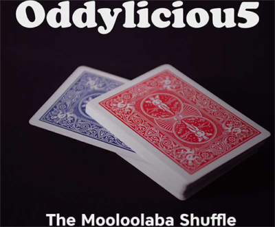 The Oddyliciou5 Package by The Mooloolaba Shuffle video (Download)