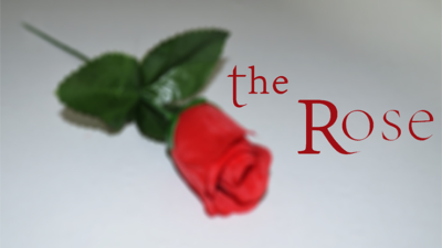 The Rose by Sandro Loporcaro (Amazo) video (Download)