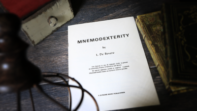 Mnemodexterity by L. De Bevere - Image 2