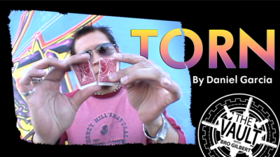 The Vault - Torn by Daniel Garcia video (Download)