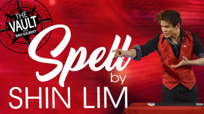 The Vault - Spell by Shin Lim video (Download)