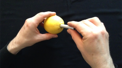 CITRUS: The Next Generation, C2 - Small by Nourdine - Image 3