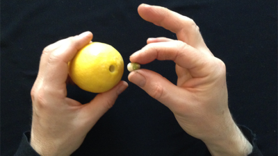 CITRUS: The Next Generation, C2 - Small by Nourdine - Image 4