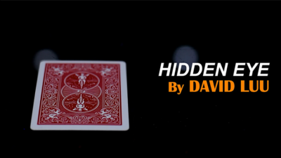 Hidden Eye by David Luu video (Download)