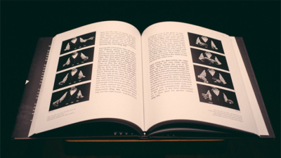Coins and Other Fables by Luis Piedrahita - Image 6