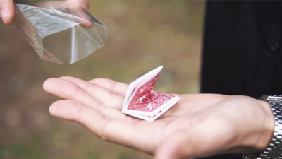Uncatchable by Olivier Pont video (Download) - Image 5