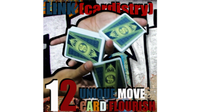 LINK, Cardistry Project by SaysevenT video (Download)