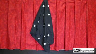 Polka Dot Silk, 18 inch x 18 inch by Mr. Magic