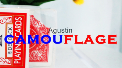Camouflage by Agustin video (Download)