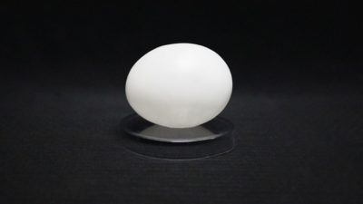 Deluxe Latex, Vinyl Egg-Tissue to Egg Routine by Viking Magic