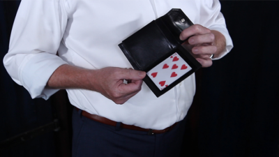Multi-Wallet, Gimmick and Online Instructions by Leo Smetsers - Image 6