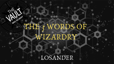The Vault - The 3 Words of Wizardry by Losander video (Download)