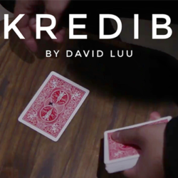 INKredible by David Luu video (Download)