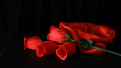 The Rose 2.0, Red by Bond Lee & Wenzi Magic - Image 3