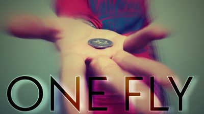 One Fly by Alessandro Criscione video (Download)