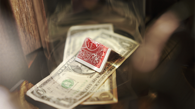 Profiteer, Gimmick and Online Instructions by Adrian Vega - Image 2
