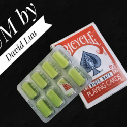 GUM by David Luu video (Download)