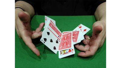 CIB: Cards In Bag, Gimmicks and Instructions by Dominique Duvivier - Image 2