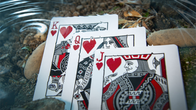 Koi V2 Playing Cards by Byron Lueng - Image 6