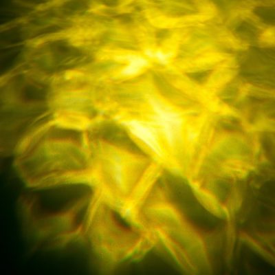 ADJ H2O DMX IR Simulated Water & Fire Light - Image 4