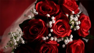 The Bouquet, Red by Bond Lee & MS Magic - Image 3