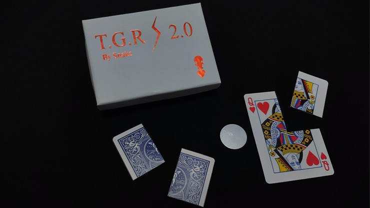 Together 2.0, Blue by Snake - Image 2