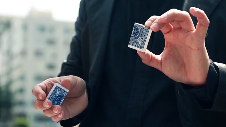 Together 2.0, Blue by Snake - Image 3