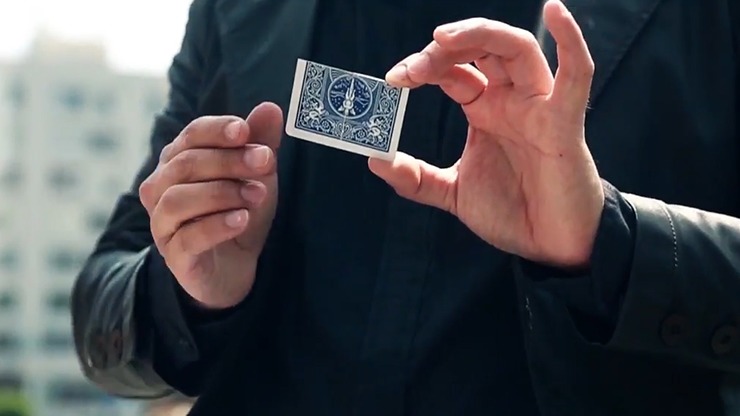 Together 2.0, Blue by Snake - Image 4