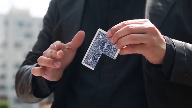 Together 2.0, Blue by Snake - Image 5